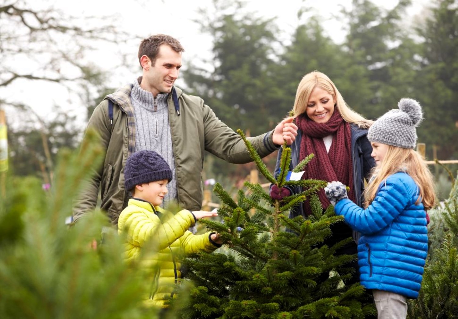 Vánoční stromky se budou prodávat ve Stodole Podbrdského muzea