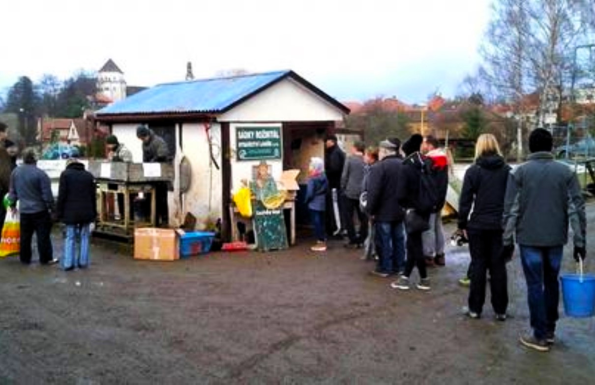 Od středy začíná vánoční prodej ryb na sádkách v Rožmitále